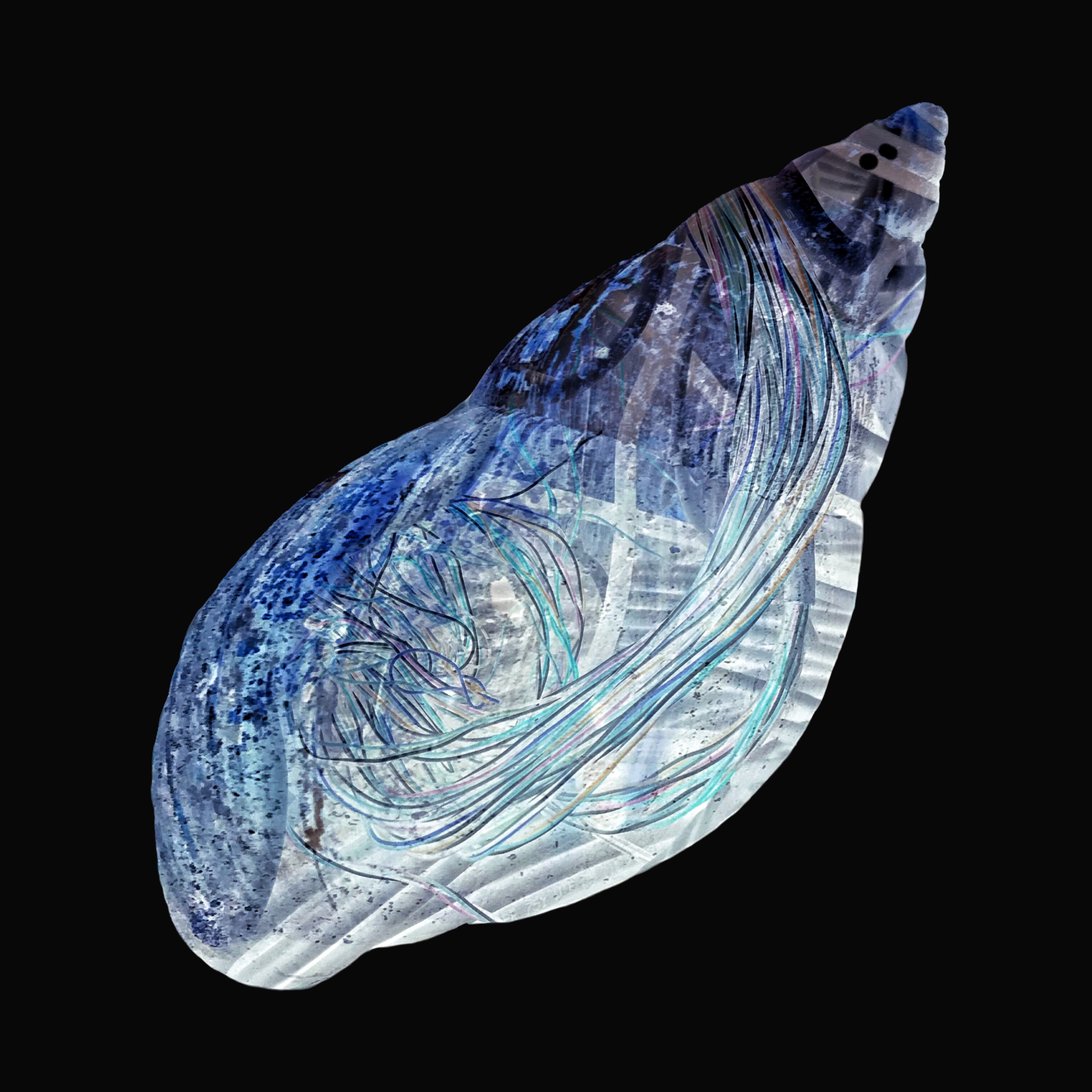 Be No.10 - A snail shell found in our apartment complex and the networking cables in our office (2021)