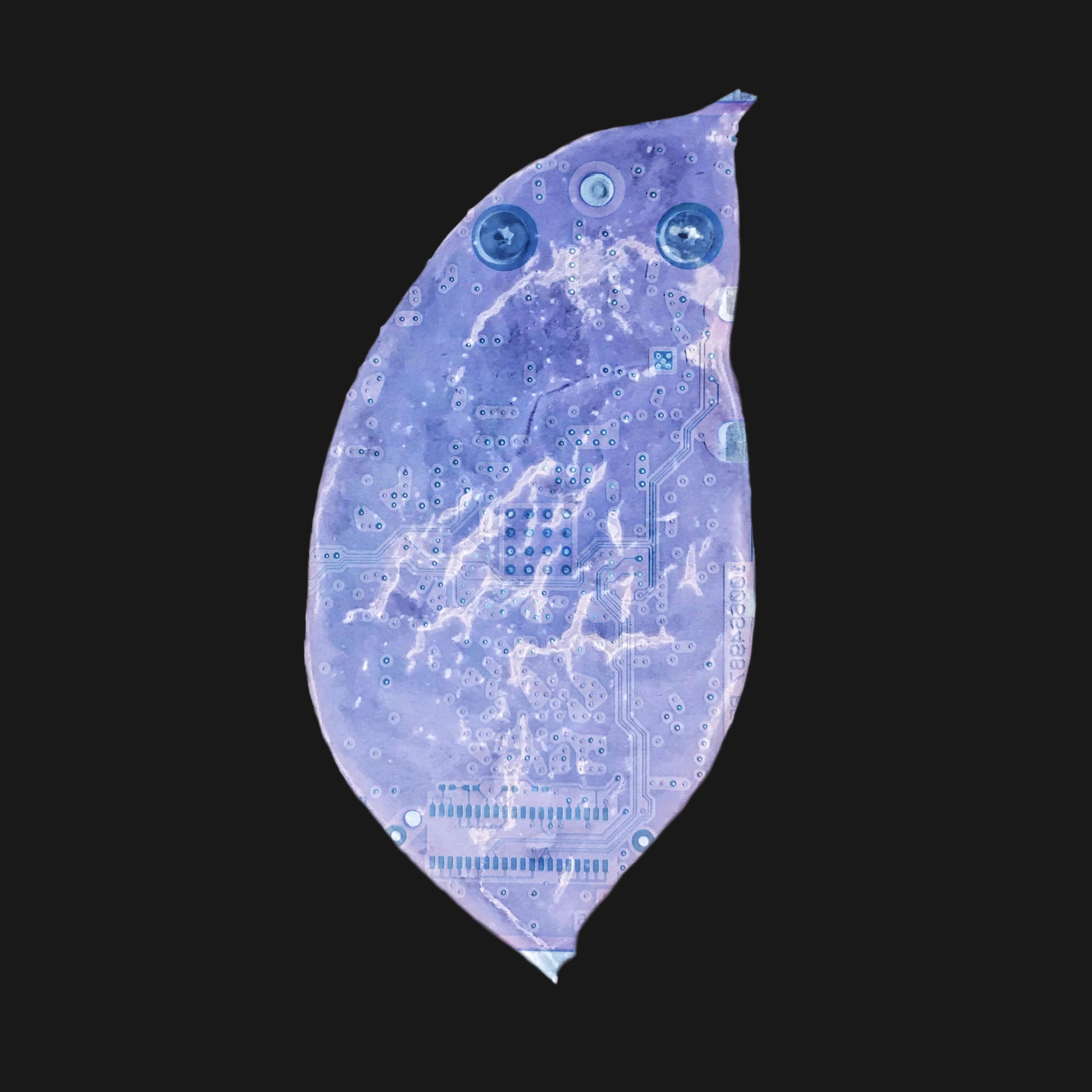 Be No.8 - A seed pod picked by my son and my wife's hard disk (2020)