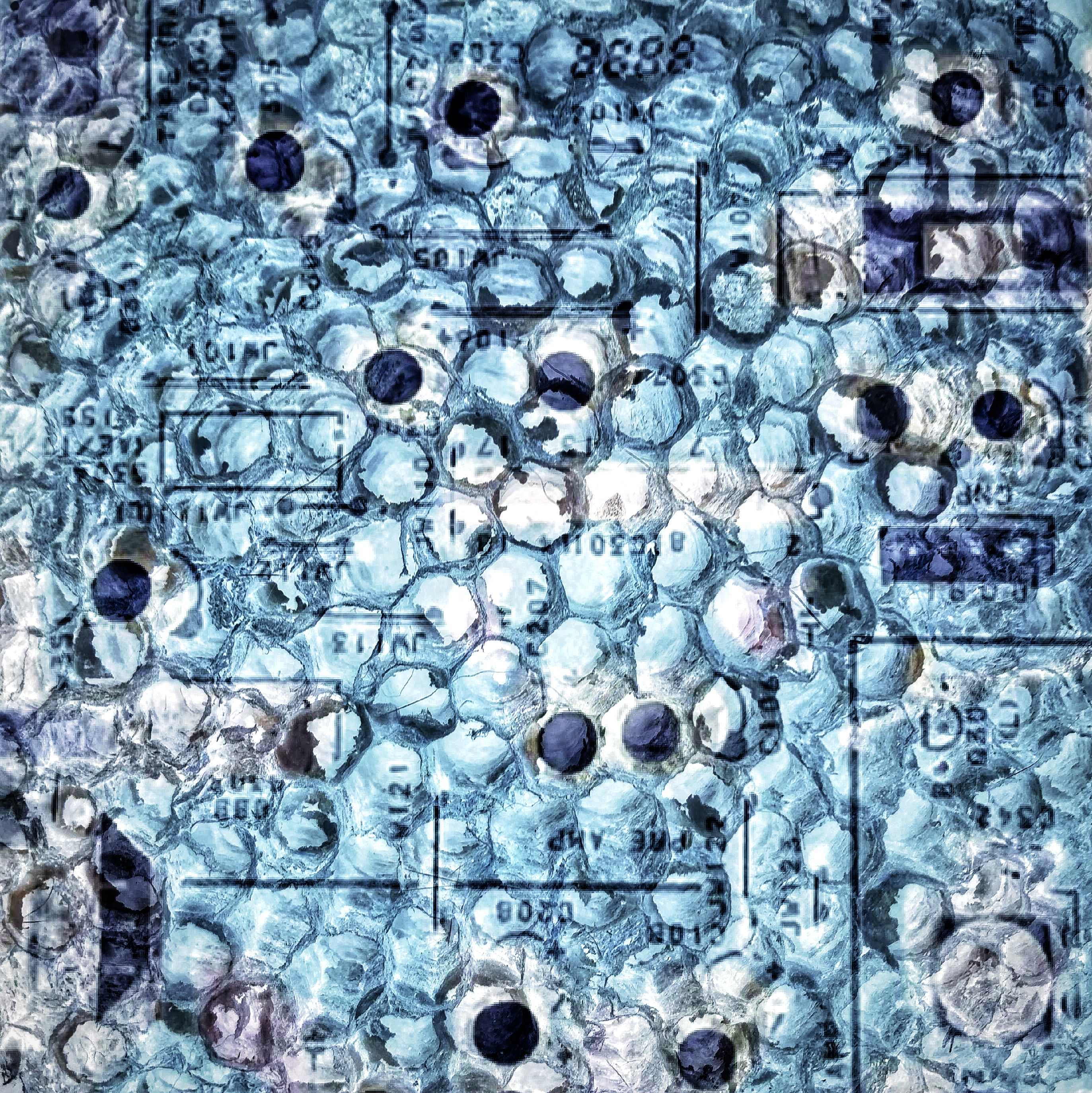 Be No.16 - A dry honeycomb in a dorayaki store and a circuit board of a tape radio exhibited in the museum (2021)
