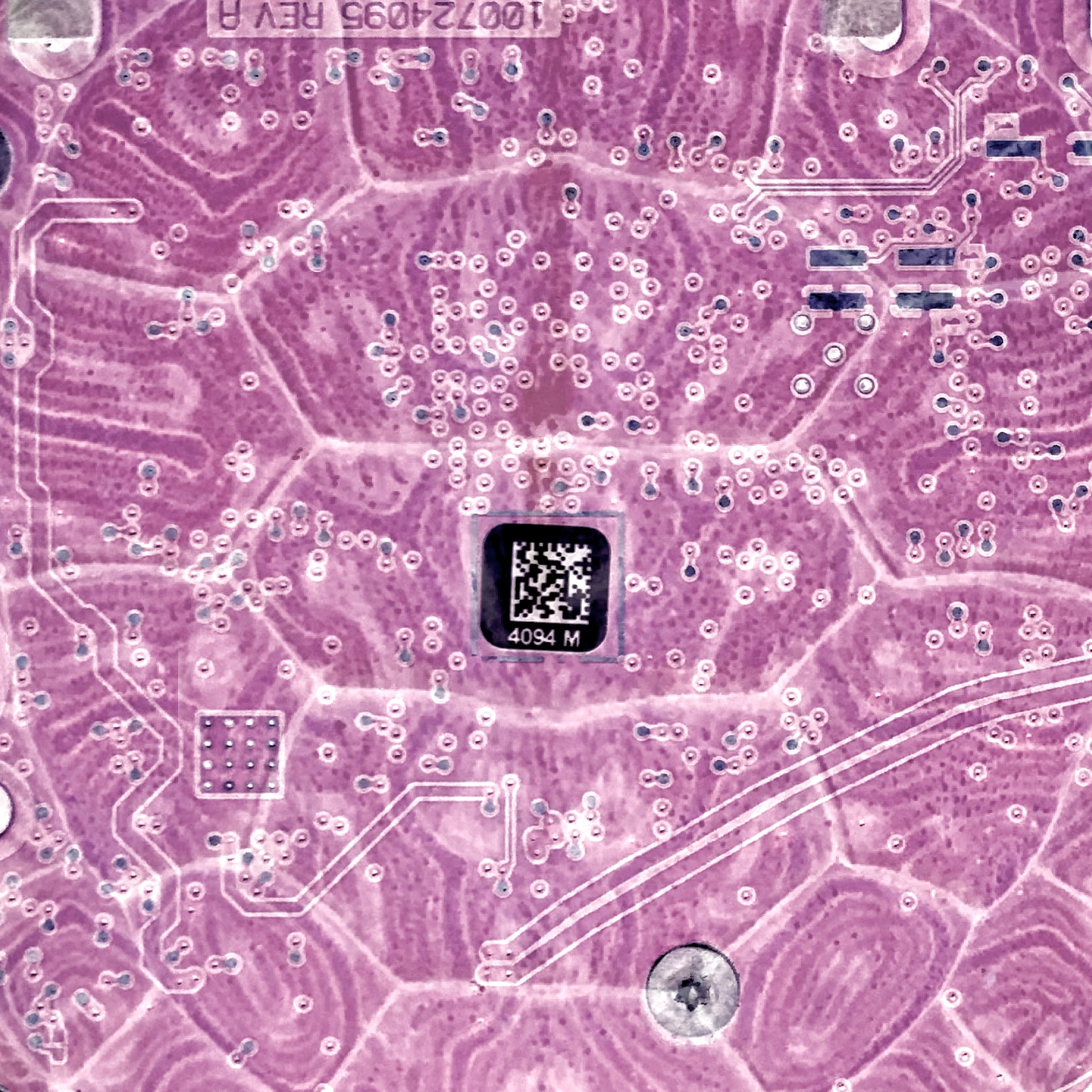 Be No.19 - The shell of a turtle kept by a restaurant and the circuit board of my wife’s hard disk (2021)
