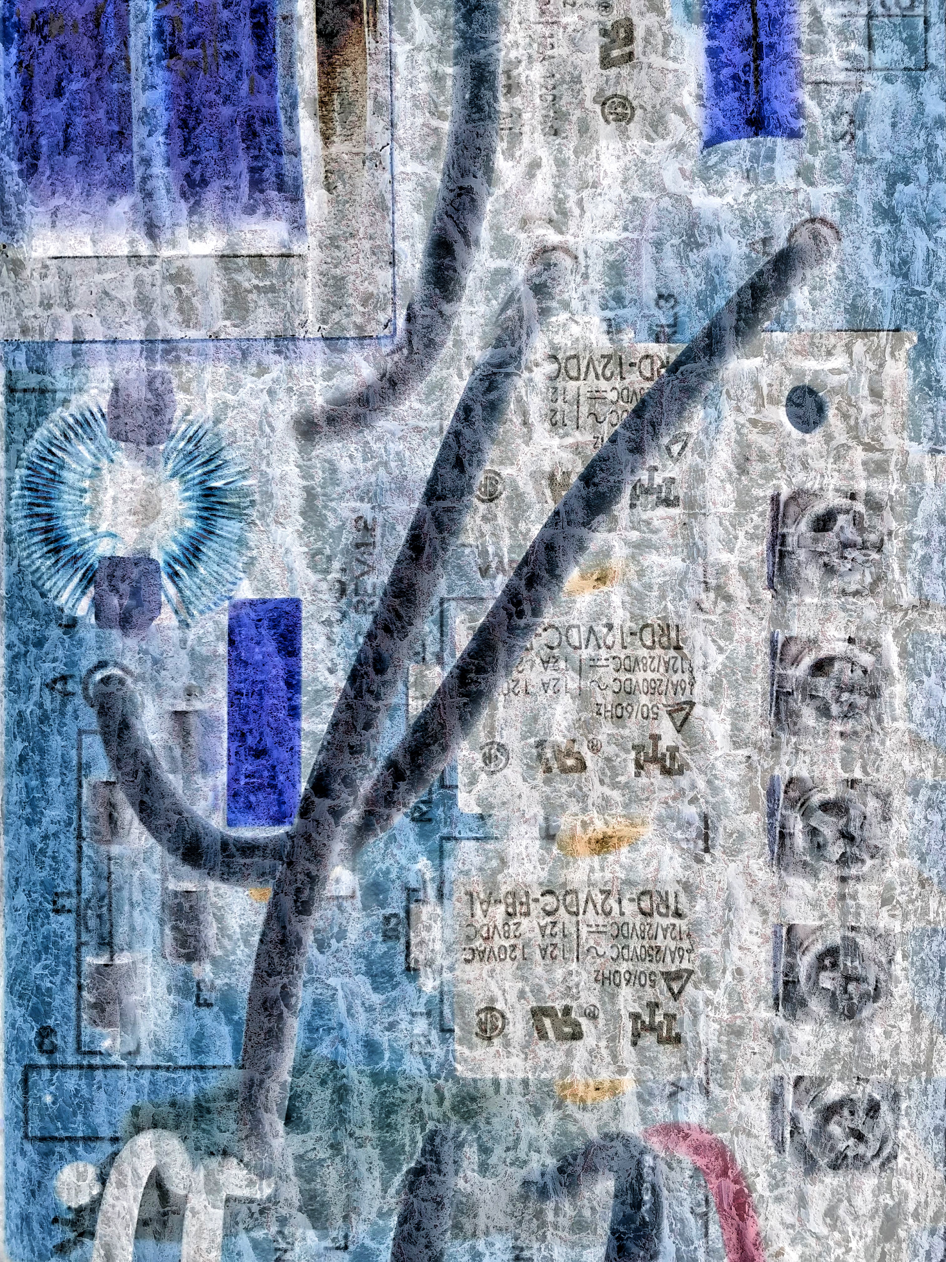 Be No.22 - A tree near my parent’s home and a part of the circuit board of a broken bathroom air dryer in my house (2023)