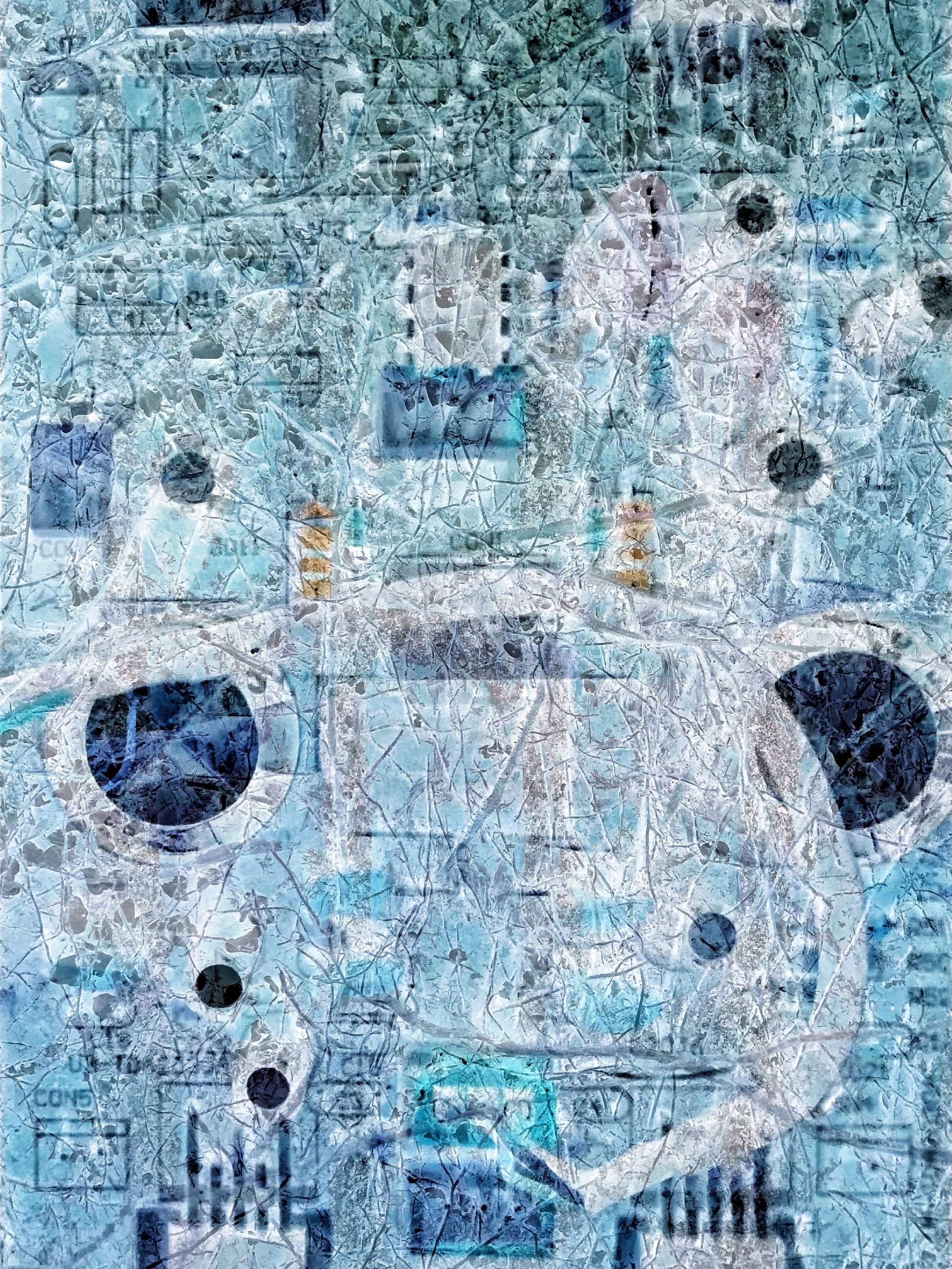 Be No.23 - The vines on the wall of the Coal Mine Museum and the circuit board of a power amplifier exhibited in the Science Education Center (2023)