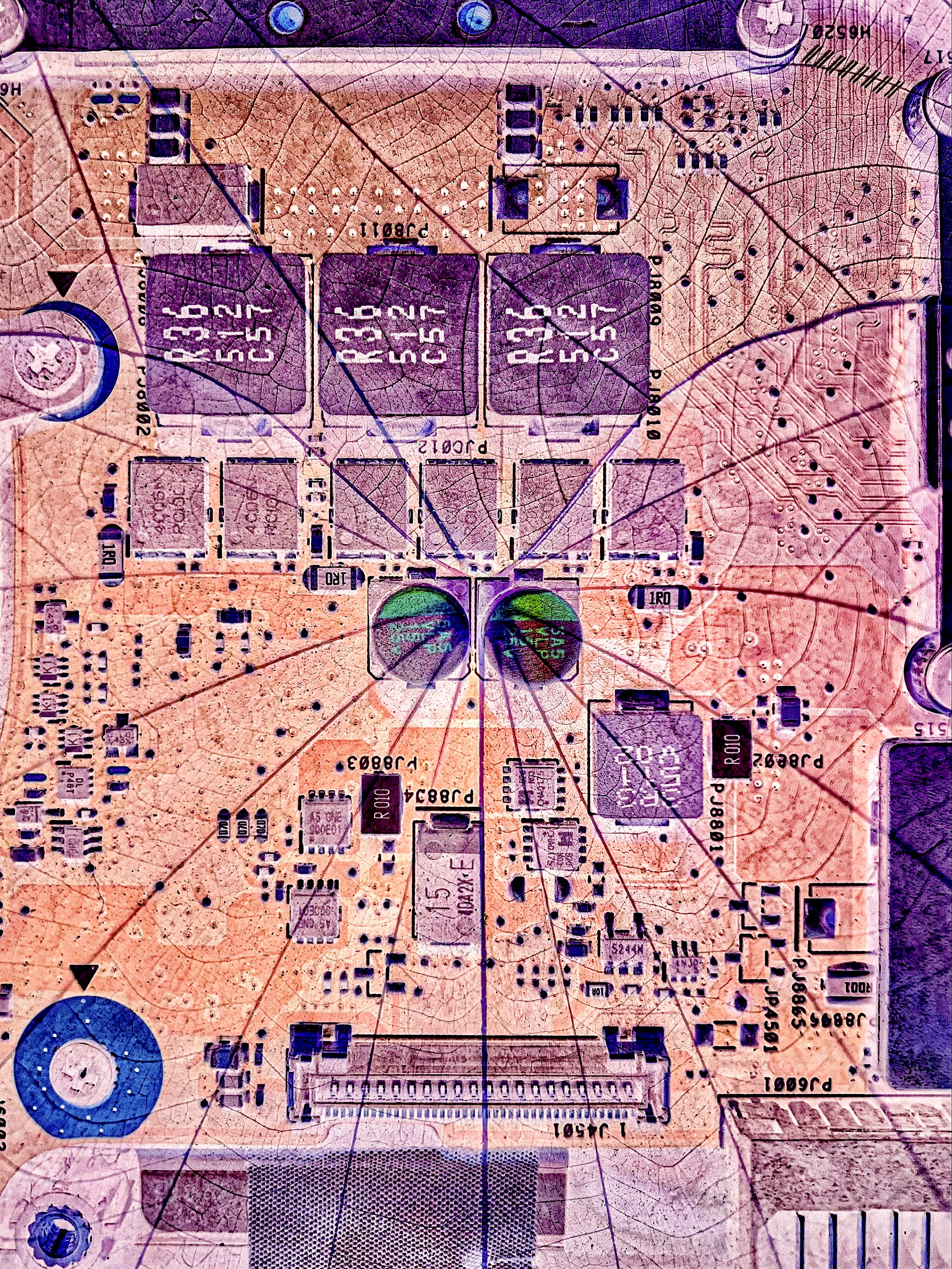 Be No.29 - A Hong Kong Orchid Tree leaf and the motherboard of my wife's broken laptop (2024)