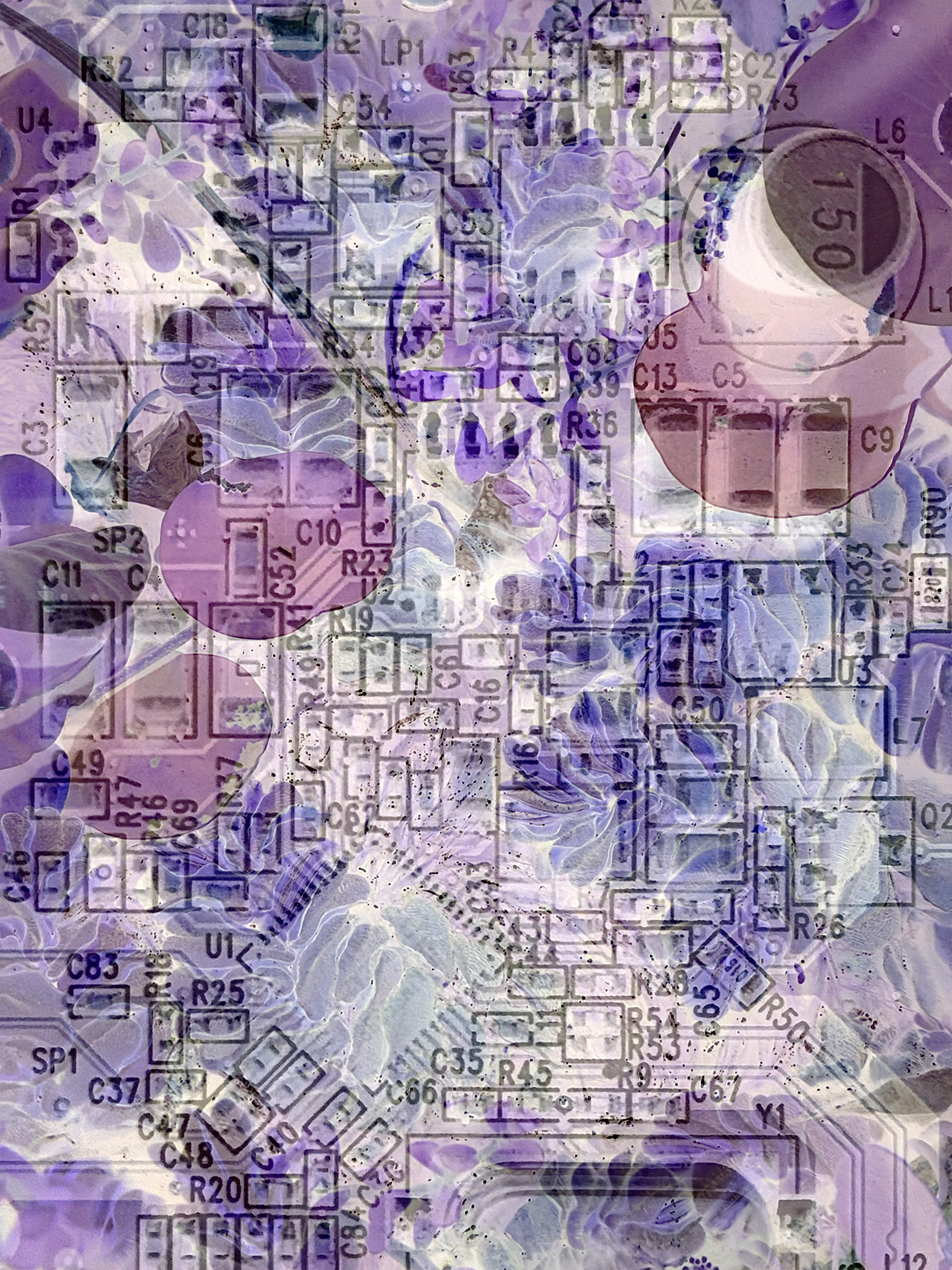Be No.33 - The circuit board of the external hard disk box and the plants in the water tank (2026)